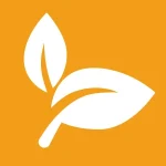 natural-ingredients-orange-background