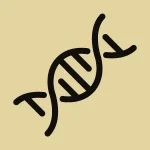 support-dna-repair