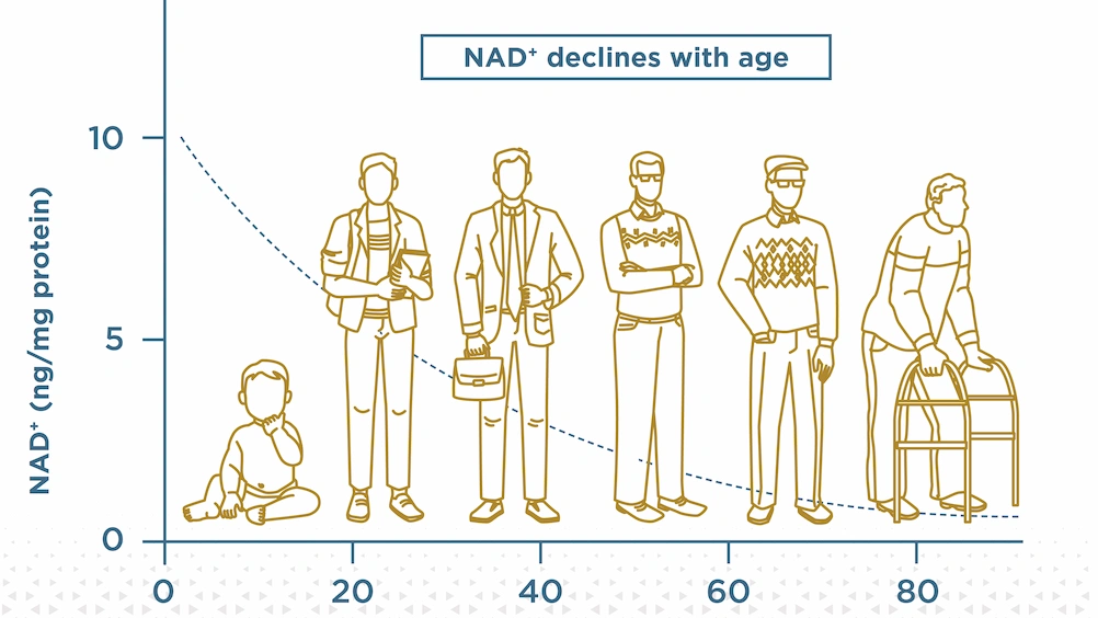 NAD-reduce-when-we-are-age